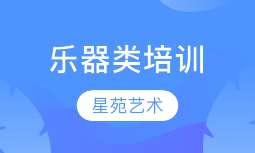 烟台乐器类培训价格全解析 星苑艺术带你了解详情